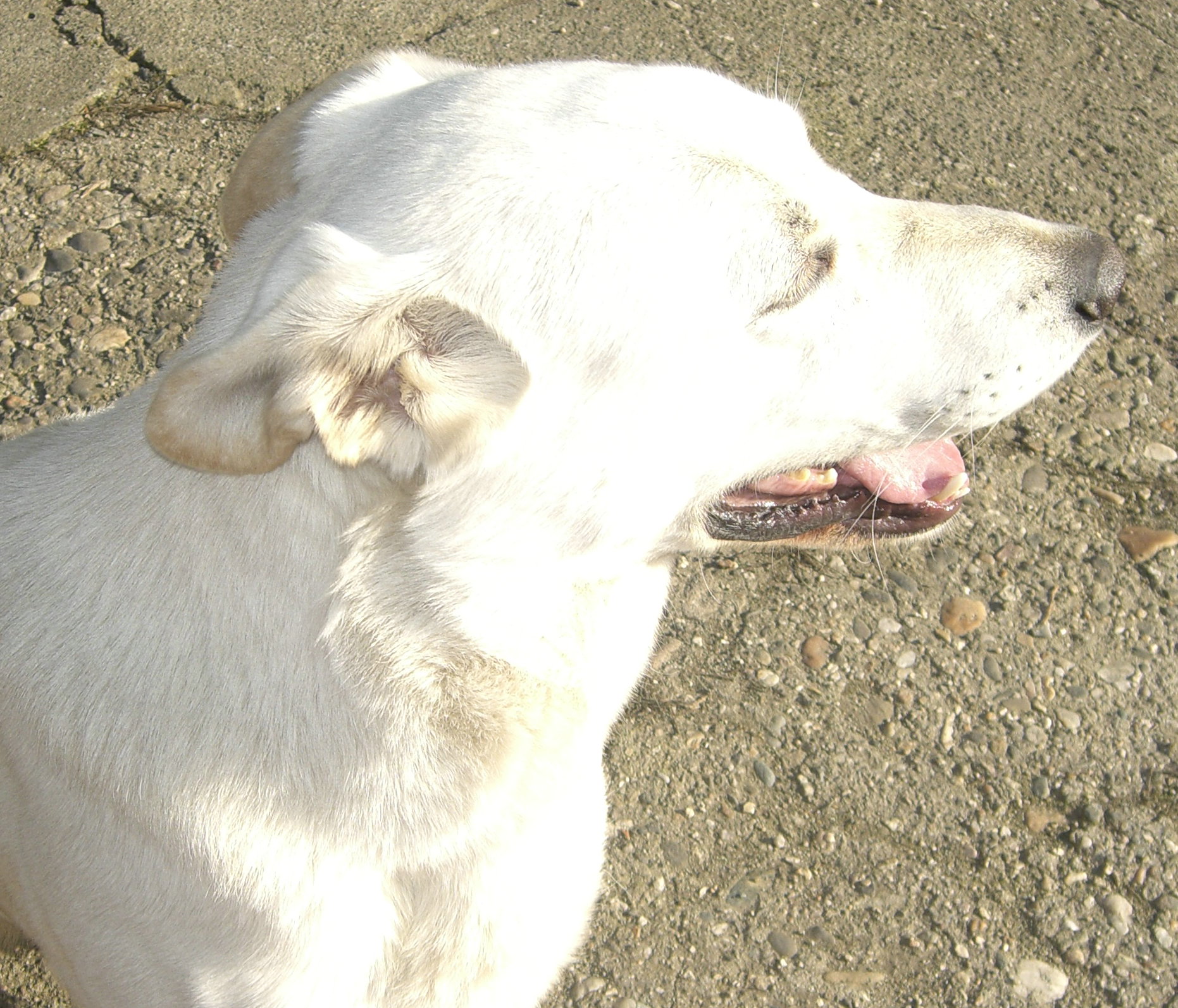 CIMG0215.JPG
